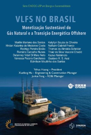 Vlfs no Brasil - Monetização Sustentável do Gás Natural e a Transição Energ
